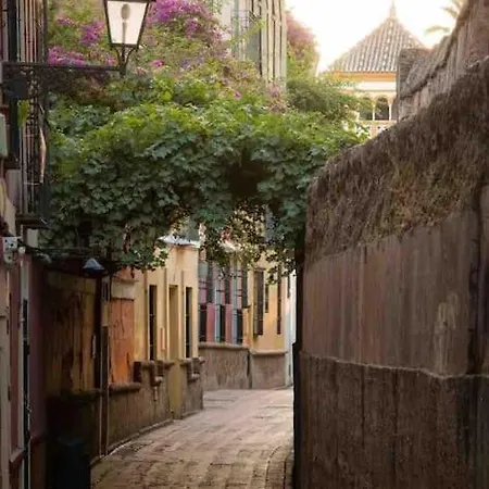 Ad10 Full House Near Cathedral By Antonia Diaz Street * Seville