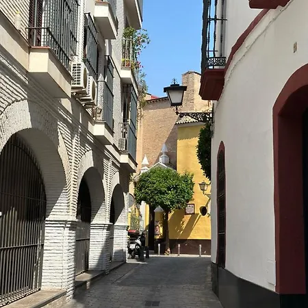 Acogedor Y Moderno En Pleno Centro De Con Parking Gratis *