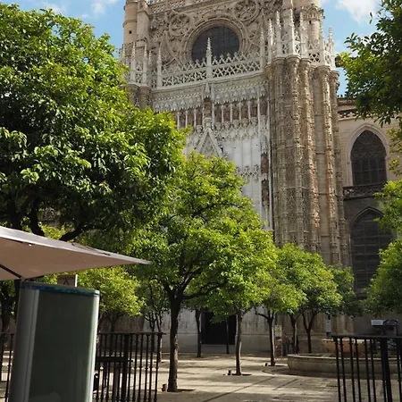 Cruz Roja B Sevilla