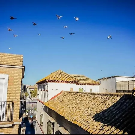 Luminoso Apartamento Centro Triana Apartment Seville