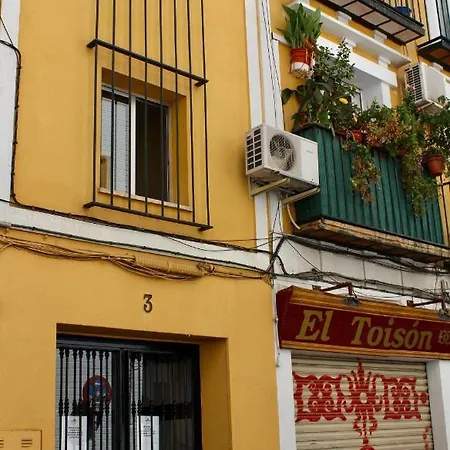 Wish Campana De * Seville