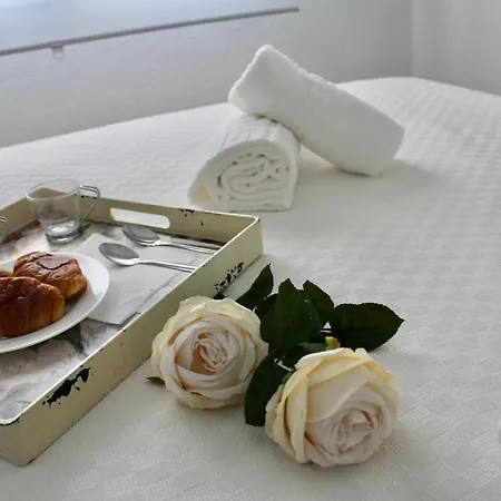 Apartment Wish Campana De