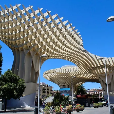 Wish Campana De Seville