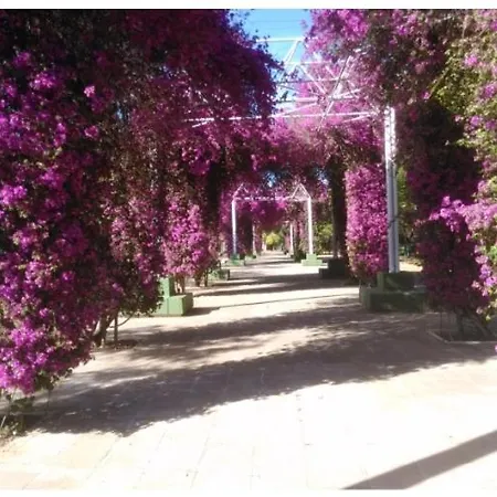 Sevillapark Holiday home *