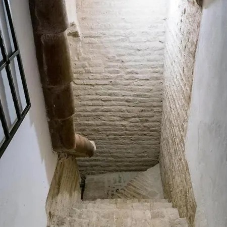 Historic House In The Center * Seville