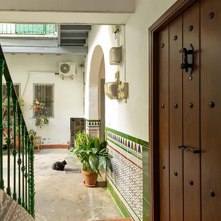 Modern Spacious Of Appartement Sevilla