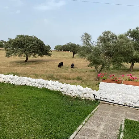 Vakantiehuis Agradable Con Piscina