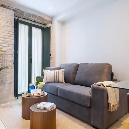 Appartement Luxurious Duplex 1bd 1bth Over Casa Pilatos