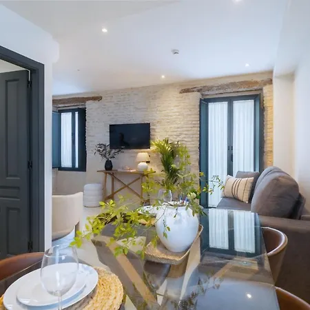 Luxurious Duplex 1bd 1bth Over Casa Pilatos Appartement *
