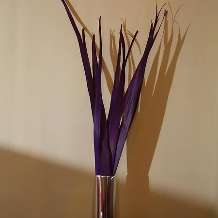 Singular Pilatos Sevilha