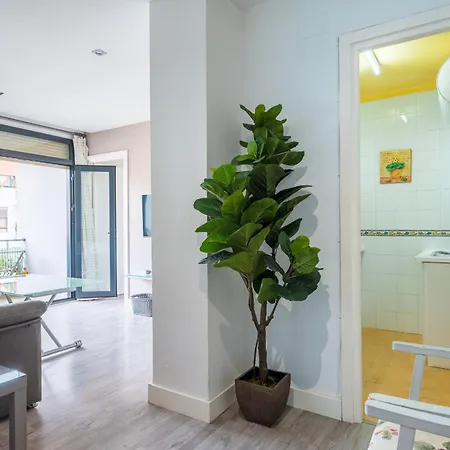 Imagen Parasol Apartamento