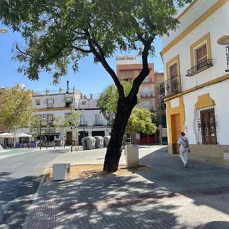 Apartamento Bajo El Sol De Sevilla