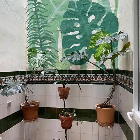 Casa Teo