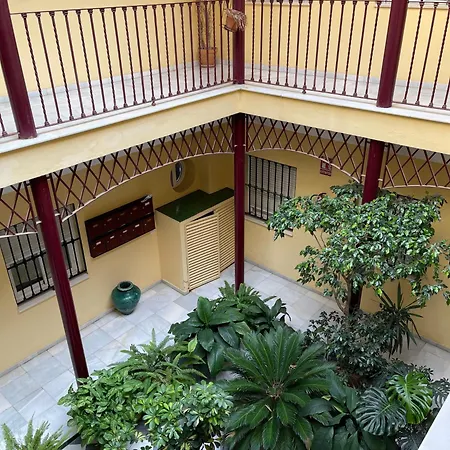 Apartament La Cofia *