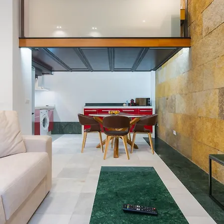 Modern Duplex - Loft Style - Historic Centre Seville