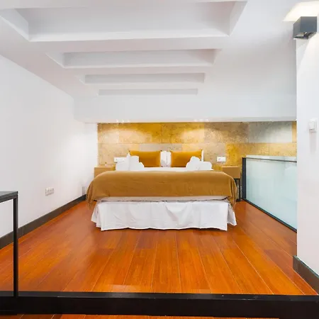 Modern Duplex - Loft Style - Historic Centre Apartment