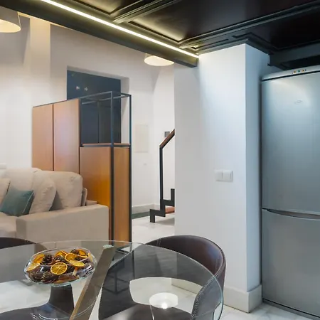 Modern Duplex - Loft Style - Historic Centre Apartment Seville