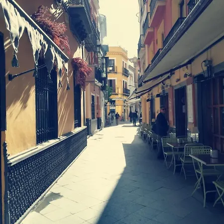 Dreaming Daire Sevilla