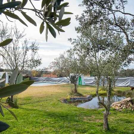 Apartamento La Platea Rural Sevilla