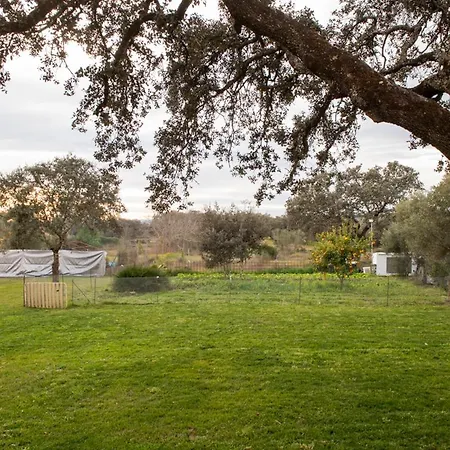 Apartamento La Platea Rural *