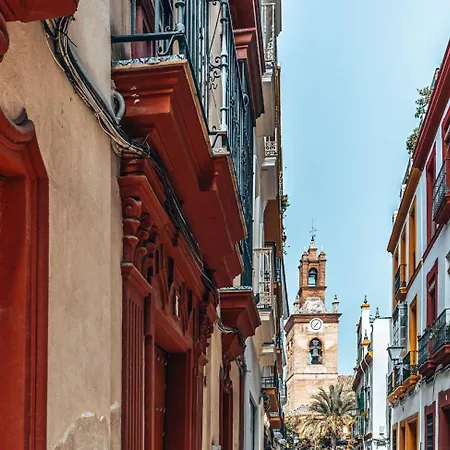 Gavidia Seville