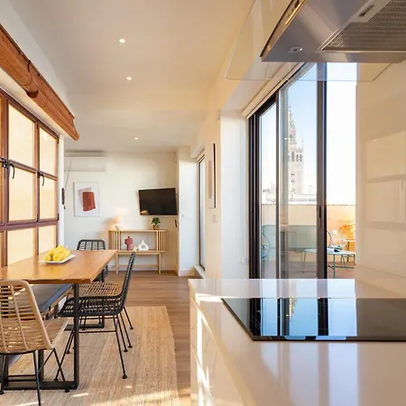 Duplex Con Terraza Privada Y Vistas A La Catedral * Seville
