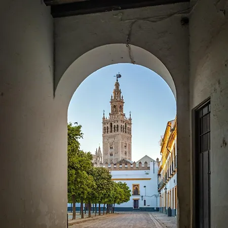 Duplex Con Terraza Privada Y Vistas A La Catedral Seville