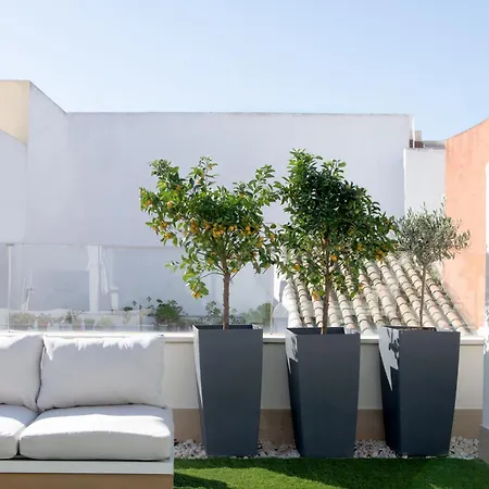 Апартаменты Hommyhome Arenal Luxury