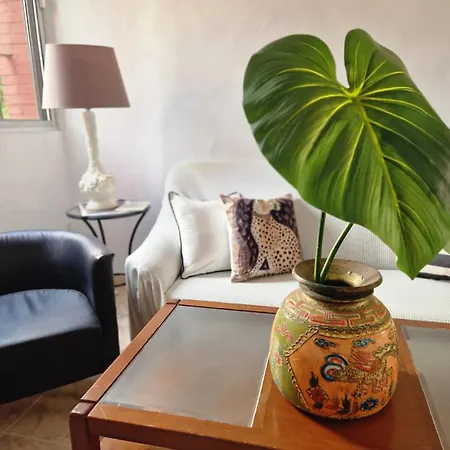 Apartment Bright In With Private Garden Seville