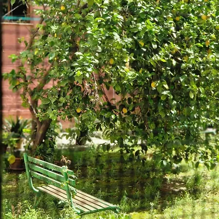 Apartment Bright In With Private Garden Seville
