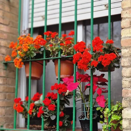Apartment Bright In With Private Garden