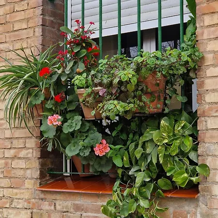 Apartment Bright In With Private Garden