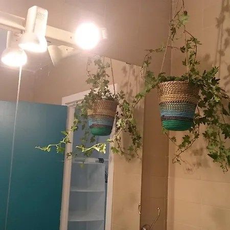 Casa de hóspedes Apartamento Las Flores *