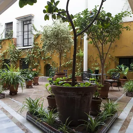 Cervantes Sevilla