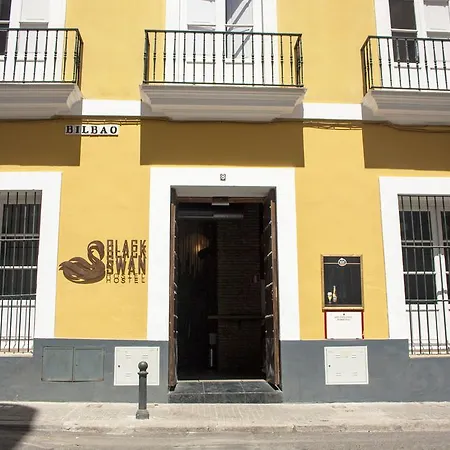 Hostel Black Swan