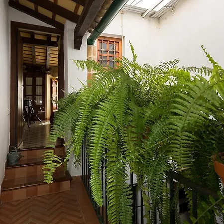 Holi-rent Historic House Next To The Alcazar Apartment Seville