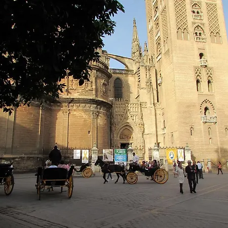 Plaza Alfalfa Centro * Sevilla