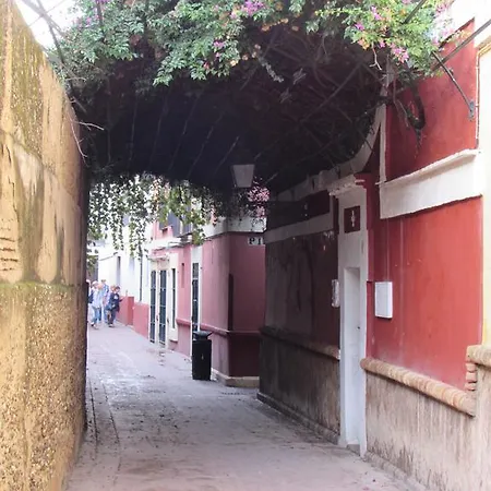 Plaza Alfalfa Centro *