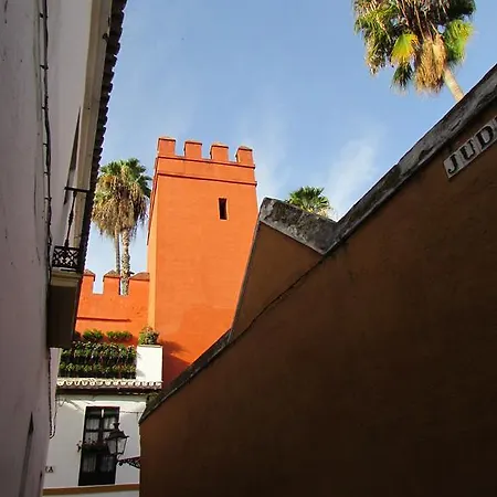 Plaza Alfalfa Centro *
