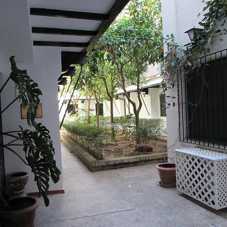 Apartamento Plaza Alfalfa Centro *