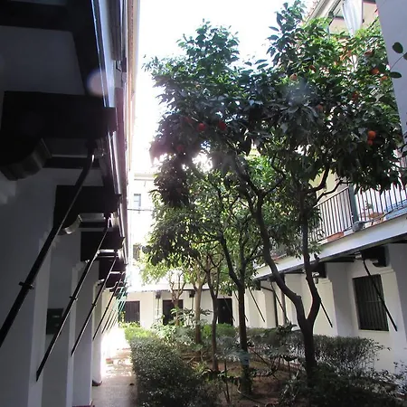 Plaza Alfalfa Centro *