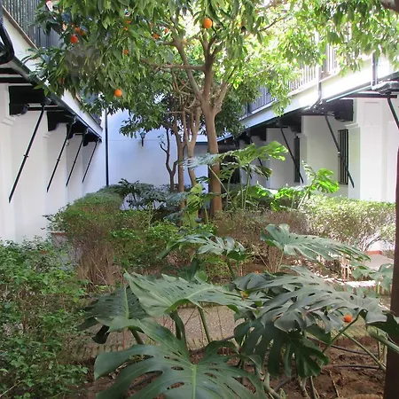 Apartamento Plaza Alfalfa Centro