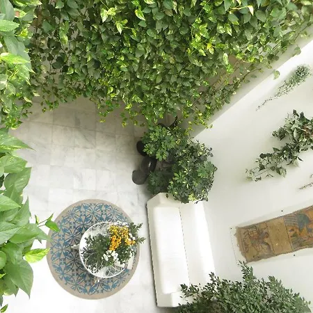 Un Patio Al Sur 2* Sewilla