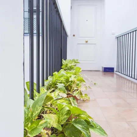 Santa Cruz Apartamento Sevilla