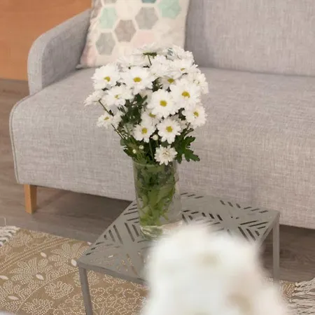 아파트 Lukanda Casa De Especias 세비야