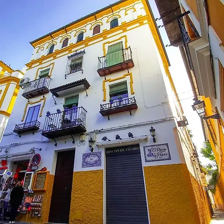 Plaza De Dona Elvira 8 * Seville