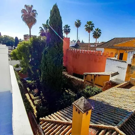 Apartment Plaza De Dona Elvira 8 *