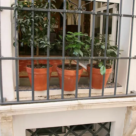 La Via Mezquita Seville