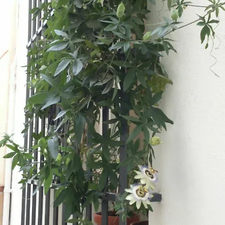 Guest house La Via Mezquita 3*