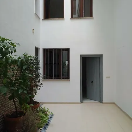 Rentalsevilla Espacioso Duplex En La Puerta Real Sewilla